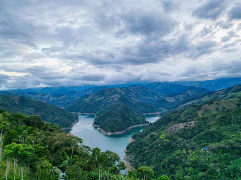 WhatsApp Image 2025-04-02 at 10.50.56 AM