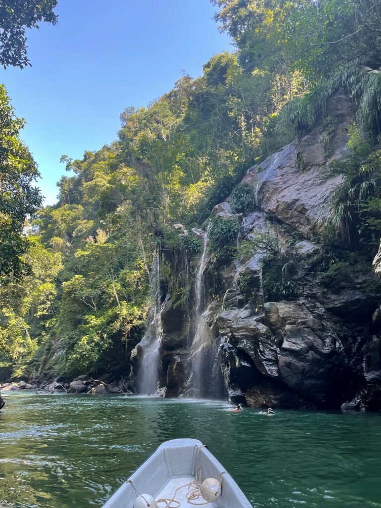 WhatsApp Image 2025-04-02 at 12.55.57 PM (3)