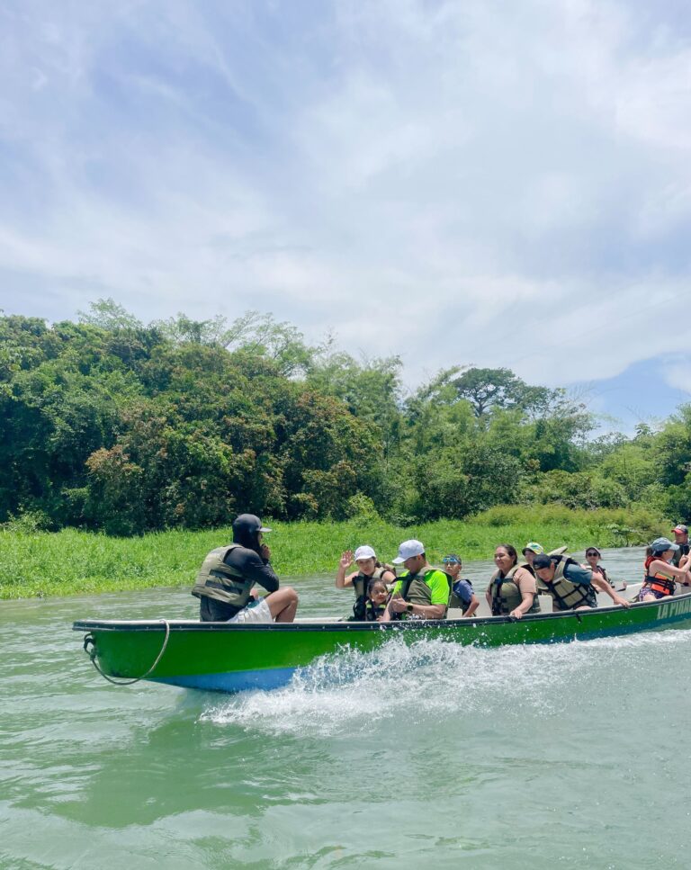 PSX_20250513_125116[1]