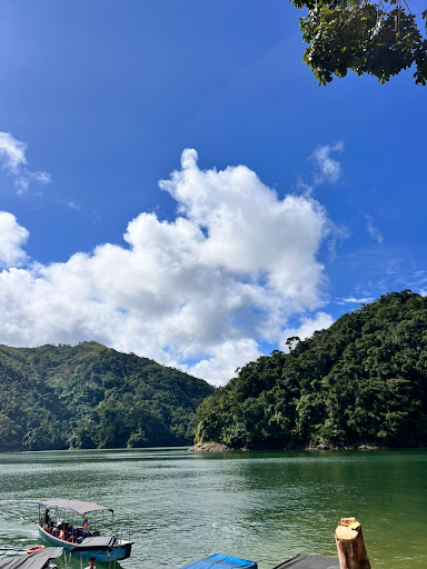 Photo from customer review