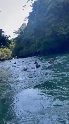 Photo from customer review