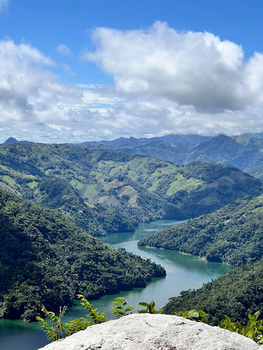 Photo from customer review