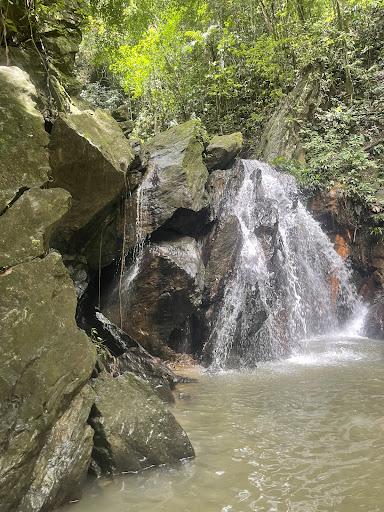 Photo from customer review