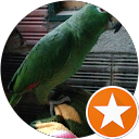 Alvaro Villamil profile picture